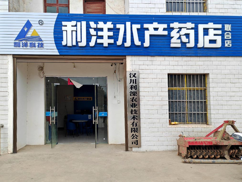 联合店