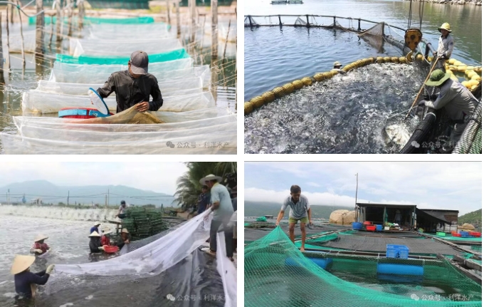 1758878256912668.jpg 9.jpg